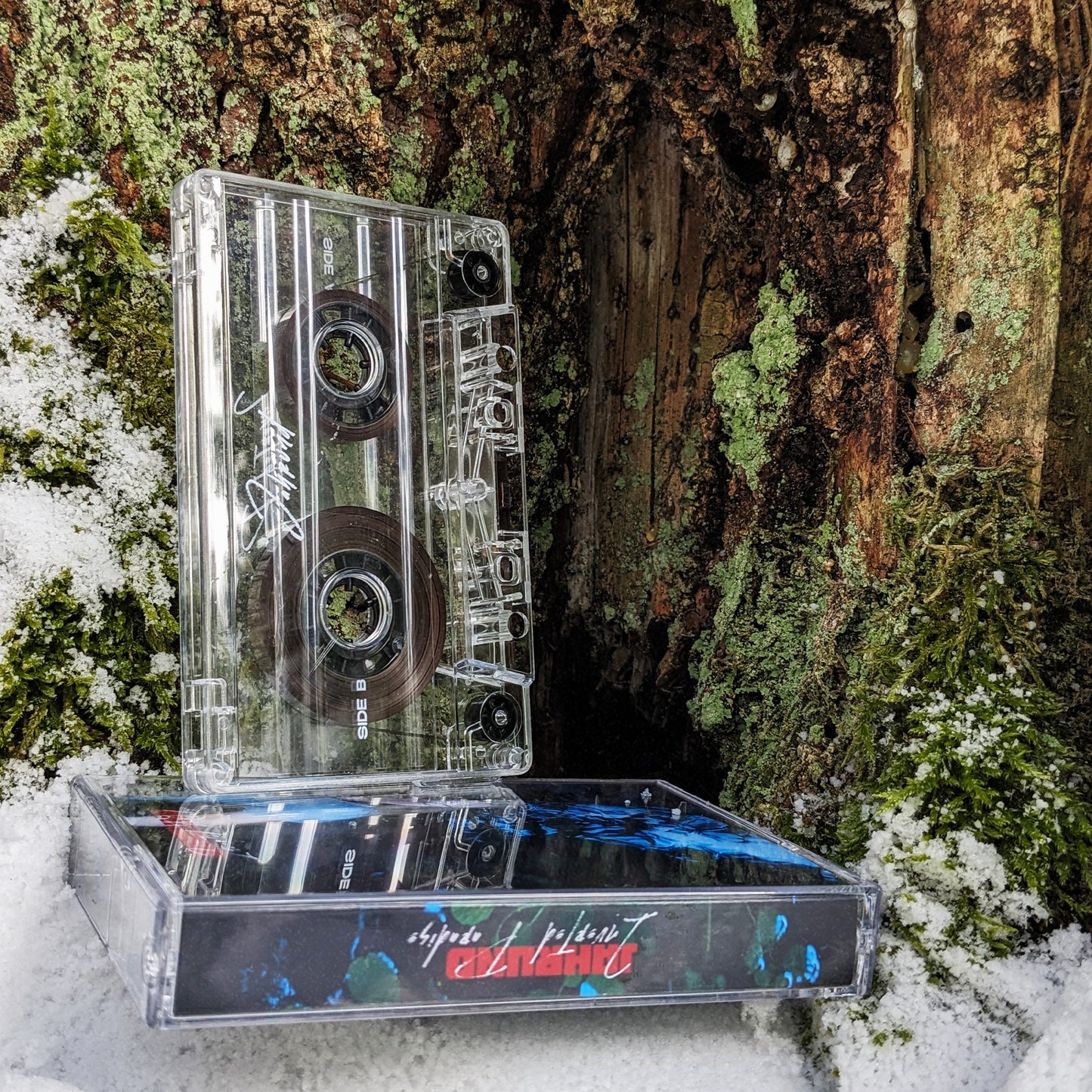 Inverted Paradise - Cassette Transparent